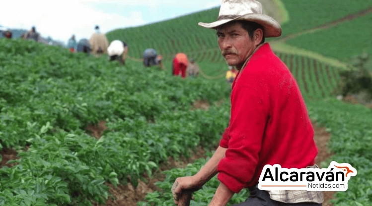 Captura de pantalla 2025-03-25 134316